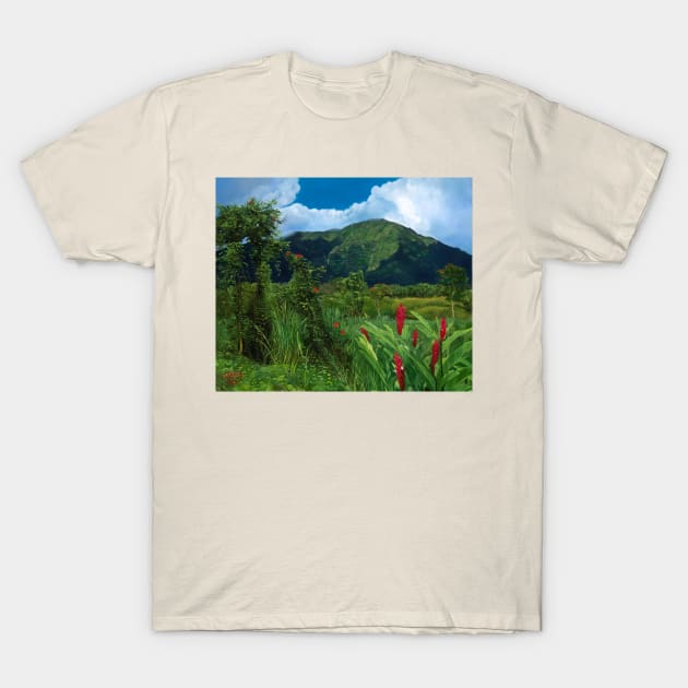 Maunawili T-Shirt by wendyroberts